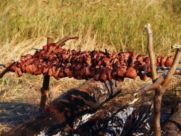 Shashlyk-barbecue-russia